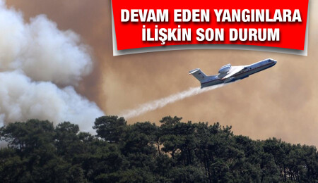 Türkiye'deki yangınlarla ilgili son durum