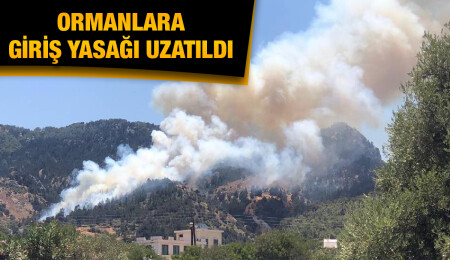 Ormanlık alanlara giriş ve ateş yakma yasağı uzatıldı