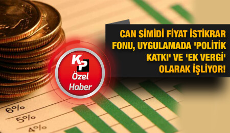 Fiyat İstikrar Fonu gerçeği: Fiilen ‘politik katkı’ olarak kullanılıyor!