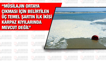 Biyologlar Derneği: "Karpaz'da görülen köpükler müsilaj değil”