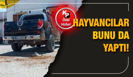 Eylemciler Cumhurbaşkanlığı önüne dışkı döktü: 4 kişi tutuklandı