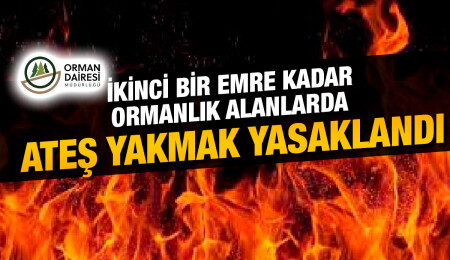 Orman Dairesi, orman sahalarında ateş yakılmasının yasaklandığını duyurdu