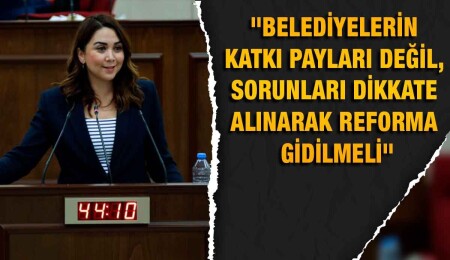 Ayşegül Baybars: Bu hükümetin yerel yönetimlerle ilgili reform yapma vizyonu yok