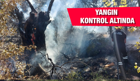 Ormanlık alandaki yangın söndürüldü