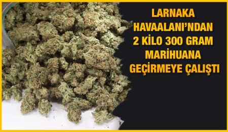 75 yaşındaki Kıbrıslı Rum’un tasarrufunda 2 kilonun üzerine marihuana bulundu
