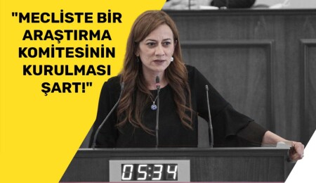 Doğuş Derya: “Kutlu Adalı’nın cinayetinin araştırılması için yeniden soruşturma açılmalı”