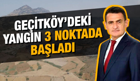 Tarım ve Doğal Kaynaklar Bakanı Dursun Oğuz: Yangını inşallah söndüreceğiz