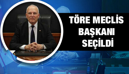 Zorlu Töre Meclisten onay aldı