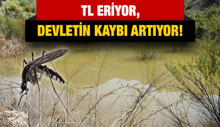 Sivrisinek larva ilacı ihalesinde tek firma… TL alıp devlete EURO satacak