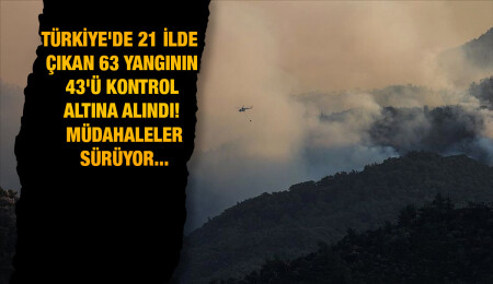 Türkiye'deki yangınlara müdahaleler yeniden başladı