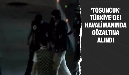 Çiftlik Bank kurucusu 'Tosuncuk' lakaplı Mehmet Aydın, Türkiye'de