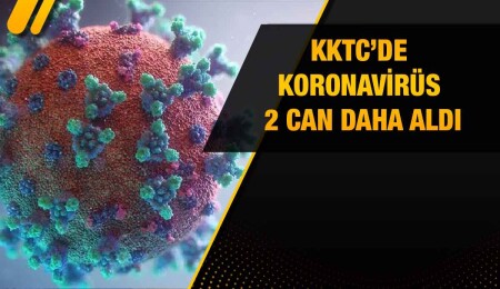 Son 24 saate 269 pozitif vaka!