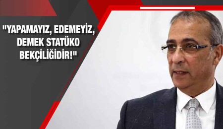 Fikri Toros: Euro'ya geçmek teknik olarak mümkündür