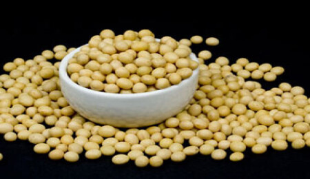 Erkeğin düşmanı soya!