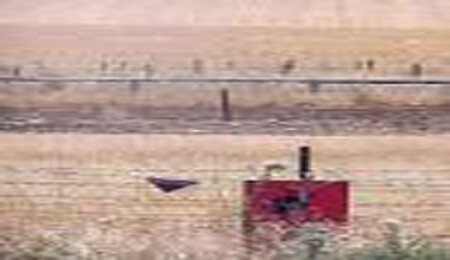 Sınırdaki mayınlar temizlenecek