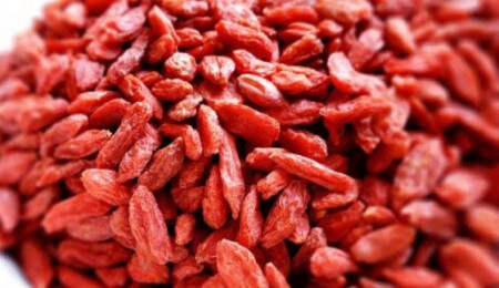 Seda Akgül ve Lipomagnet