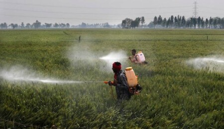 BM: Toprak kirliliği insan sağlığını tehdit eder boyutta