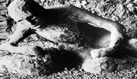 Bu insanlar neden taş kesildi?  