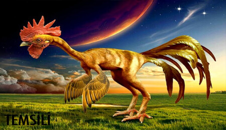 Bilim insanları dinozor bacaklı tavuk üretti!