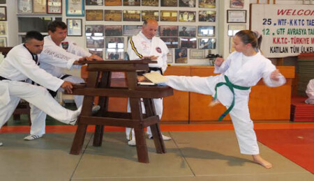 Şükrü Arusan Taekwondo Karate müsabaka sonuçları