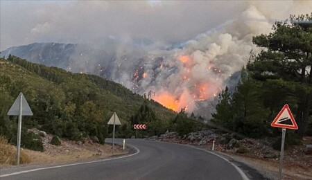 Strong Winds Complicate Wildfire Fight Across Western Turkey