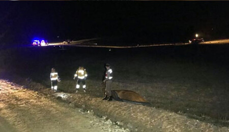 Türkiye'de F-16 uçağı düştü, 1 asker şehit