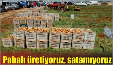 Rekabet edebilir durumda değiliz... Pahalı üretiyoruz, satamıyoruz
