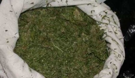 Uyuşturucu ve TNT türü patlayıcı ile yakalandılar