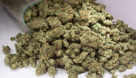 Larnaka'ya postayla 1 kilo hintkeneviri geldi