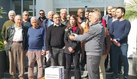 Çam kese böcekleri, Tarım ve Doğal Kaynaklar Bakanlığı önüne bırakıldı