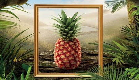 400 dolarlık ananas yok satıyor