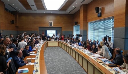 Türkiye'de tartışmalara neden olan sahipsiz hayvanlara yönelik kanun teklifi komisyonda kabul edildi
