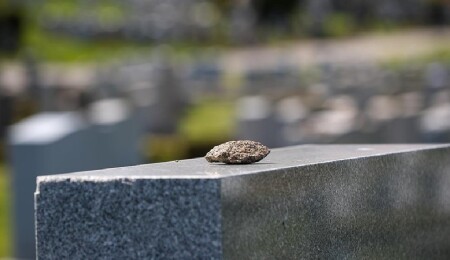 ABD'de Müslüman mezarlığı projesini engellemeye çalışılan belediye tazminat ödeyecek