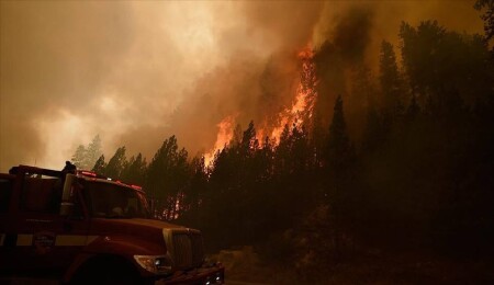 Celebrities Lose Homes and Flee as Los Angeles Fires Spread