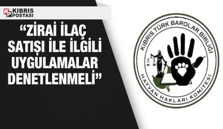 Barolar Birliği Hayvan Hakları Komitesi, Kumyalı'da öldürülen köpek ile ilgili yetkili mecraları göreve çağırdı