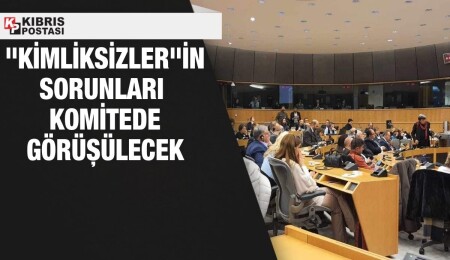 "Kimliksizler"in mücadelesi, Avrupa Parlamentosu'nun Dilekçeler Komitesi’nde görüşülecek
