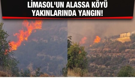 Alassa'da yeniden alevlenen yangın kontrol altına alınamıyor