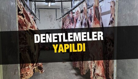 Lefkoşa Veteriner Dairesi Halk Sağlığı birimi tarafından 84 işletme denetlendi