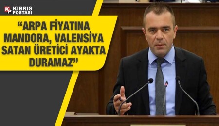Salahi Şahiner: Narenciye dalında kalamaz, hükümet gerekli tedbirleri zamanında almalıdır