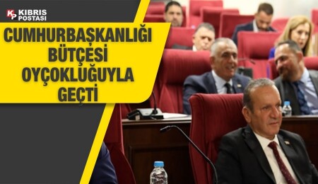 Cumhurbaşkanlığı bütçesi 313 milyon 16 bin 800 TL olarak oyçokluğuyla geçti