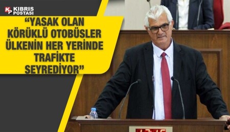 Biray Hamzaoğulları: Karayollarında mimari ve mühendislik eksikliği var