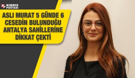 Aslı Murat: Savaş ve çatışma ortamının insanlığı getirdiği nokta, yüzümüze tokat gibi çarpıyor