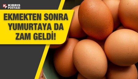 Yumurtaya zam geliyor!