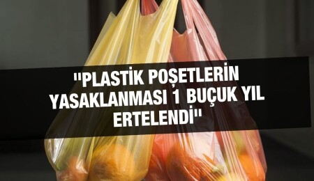 Hasan Sarpten: Hükümet, naylon poşet yasağı konusunda geri adım attı 