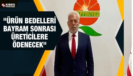 Cypfruvex Müdürü Redif’ten açıklama: Son portakal toplanıncaya kadar çalışmaya devam edeceğiz