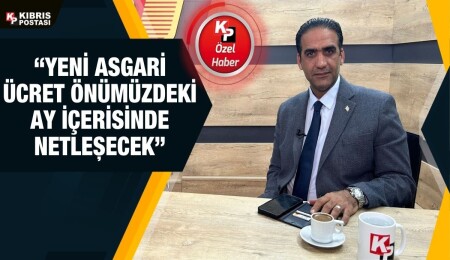 Sadık Gardiyanoğlu: Belirlenecek olan asgari ücret 2024'ün Ocak ayından itibaren geçerli olacak