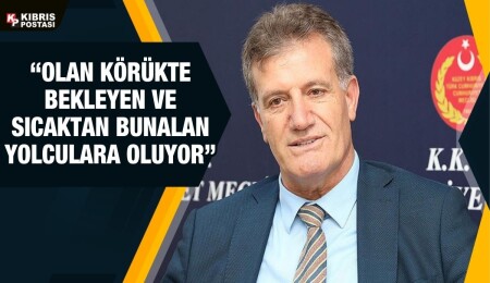 Erhan Arıklı: İkinci bir handling firmasını devreye sokup rekabet ortamını oluşturmamız gerekecek