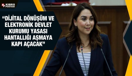 Ayşegül Baybars: Devlet elektronik ortamda hizmetleri toplayıp vatandaşa sunabilecek