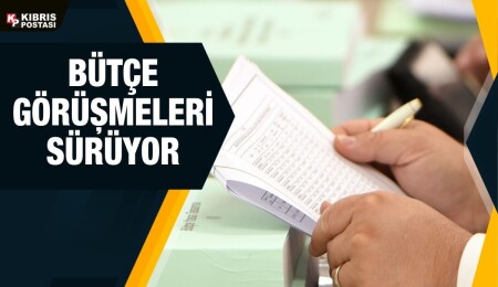 Başbakanlık bütçesinin komitede görüşülmesi sürüyor