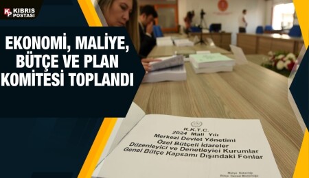 Başbakanlık bütçesi Komite’de görüşülüyor